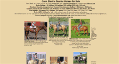 Desktop Screenshot of cbhorses.com