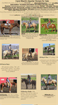 Mobile Screenshot of cbhorses.com